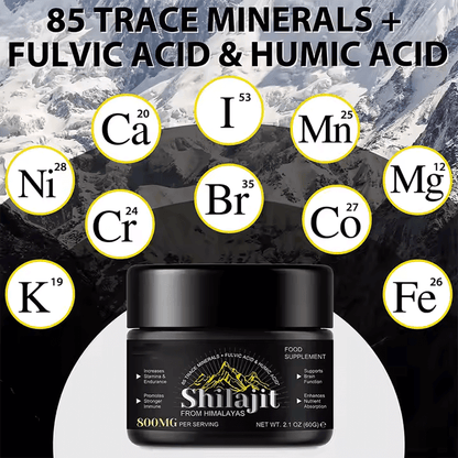 Shilajit Pure Resin jar with minerals and fulvic acid infographic, showcasing health benefits and natural vitality boost.